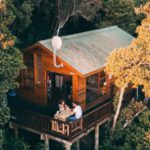 Treehouse Stays - Brown Wooden House Surrounded By Trees