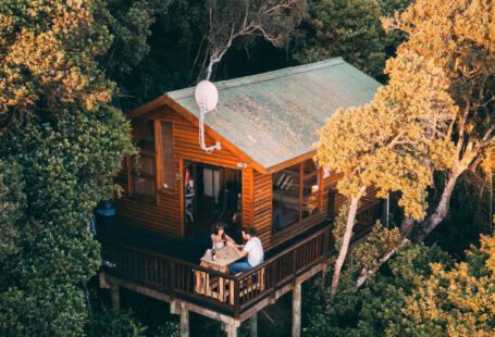Treehouse Stays - Brown Wooden House Surrounded By Trees
