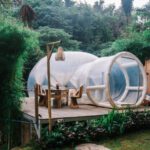 Hotel Experience - Exterior of cute bubble tent in tropical garden